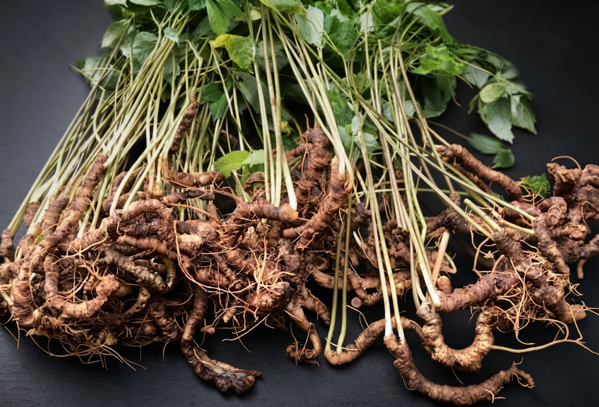 K5 Ngoc Linh Ginseng Herbal Tea