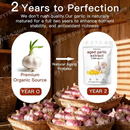 Odorless Aged Garlic Extract - 300 Count